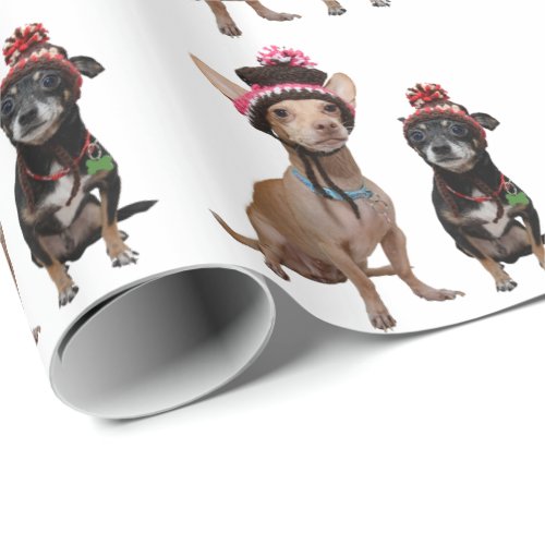 Chihuahua dogs in hats wrapping paper