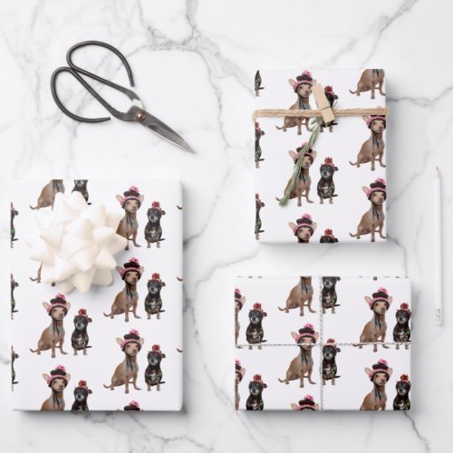 Chihuahua dogs in hats wrapping paper sheets