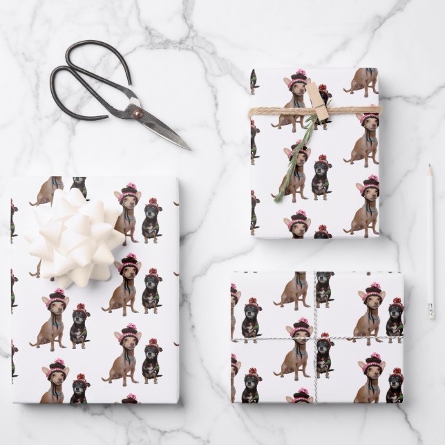 Chihuahua dogs in hats wrapping paper sheets (Front)