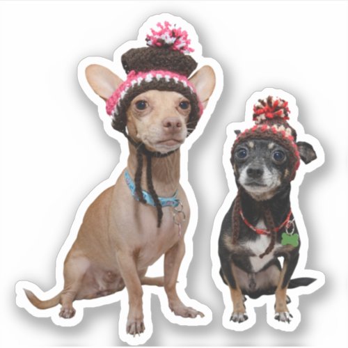 Chihuahua dogs in winter hats sticker