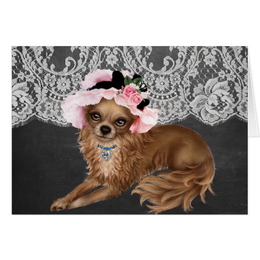Chihuahua Dogs Wearing Hats (Front Horizontal)