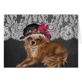 Chihuahua Dogs Wearing Hats (Front Horizontal)