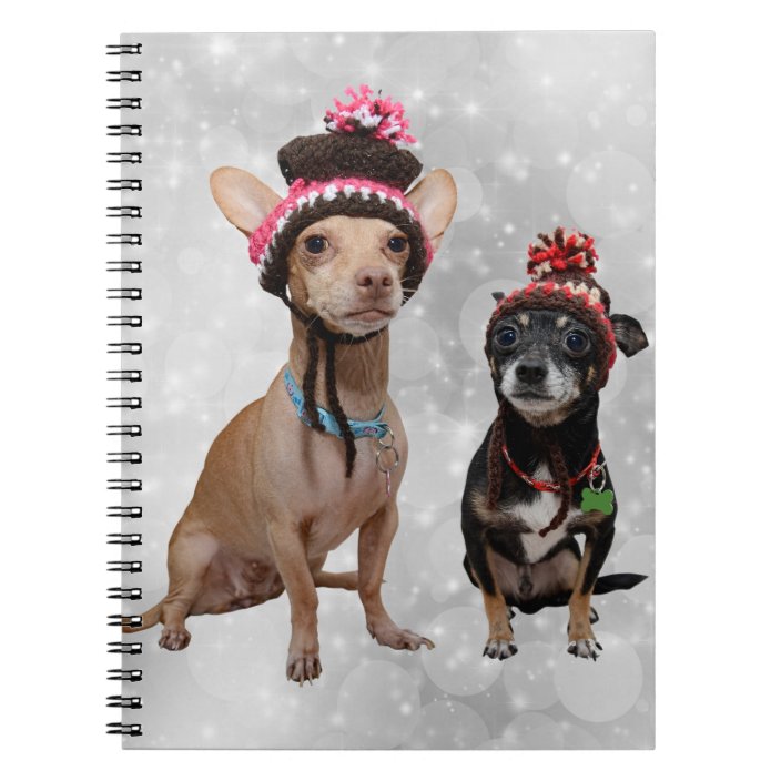 dog winter hats