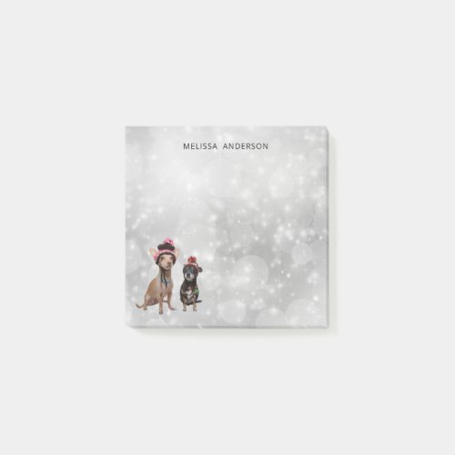 Chihuahua dogs winter hats portrait post_it notes