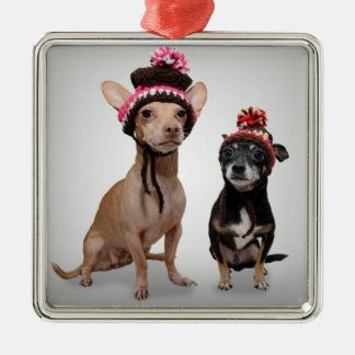 Chihuahua Dogs With Hats Photo Metal Ornament