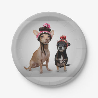 Chihuahua Dogs With Hats Photo Paper Plates