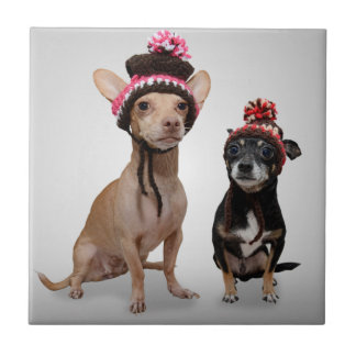 Chihuahua Dogs With Hats Photo Tile