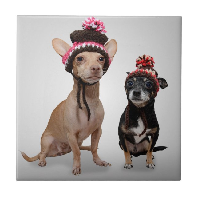 Chihuahua Dogs With Hats Photo Tile (Front)