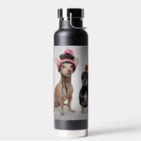 Copper Vacuum Insulated Bottle Drinking Thermal Hot/Cold Cup, 22oz Liquid  Dogs