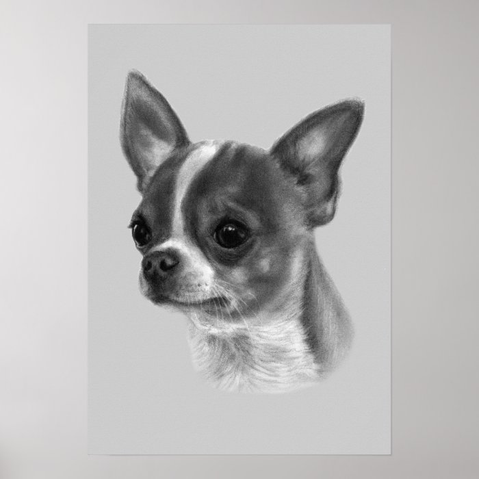 Chihuahua Drawing Posters