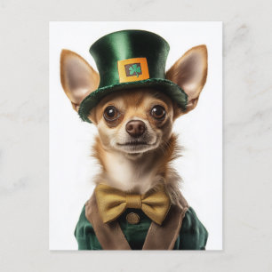 Chihuahua Dressed Leprechaun St. Patrick’s Day Postcard