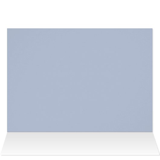 Chihuahua DUDE (Inside Horizontal (Top))