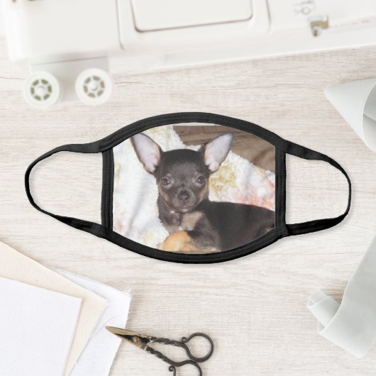 chihuahua face mask (Insitu)