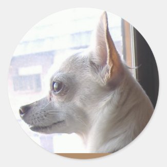 Chihuahua Face Profile Stickers
