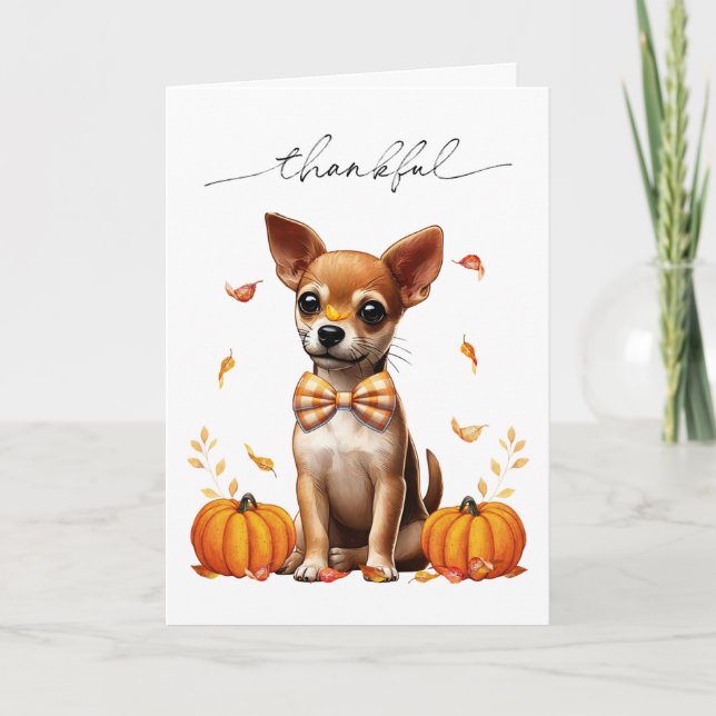 Chihuahua Fall Thankful Thanksgiving Greeting Card (Front)