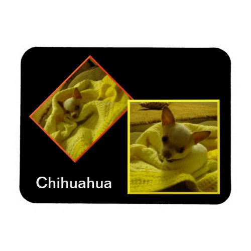 Chihuahua Flexible Photo Magnet