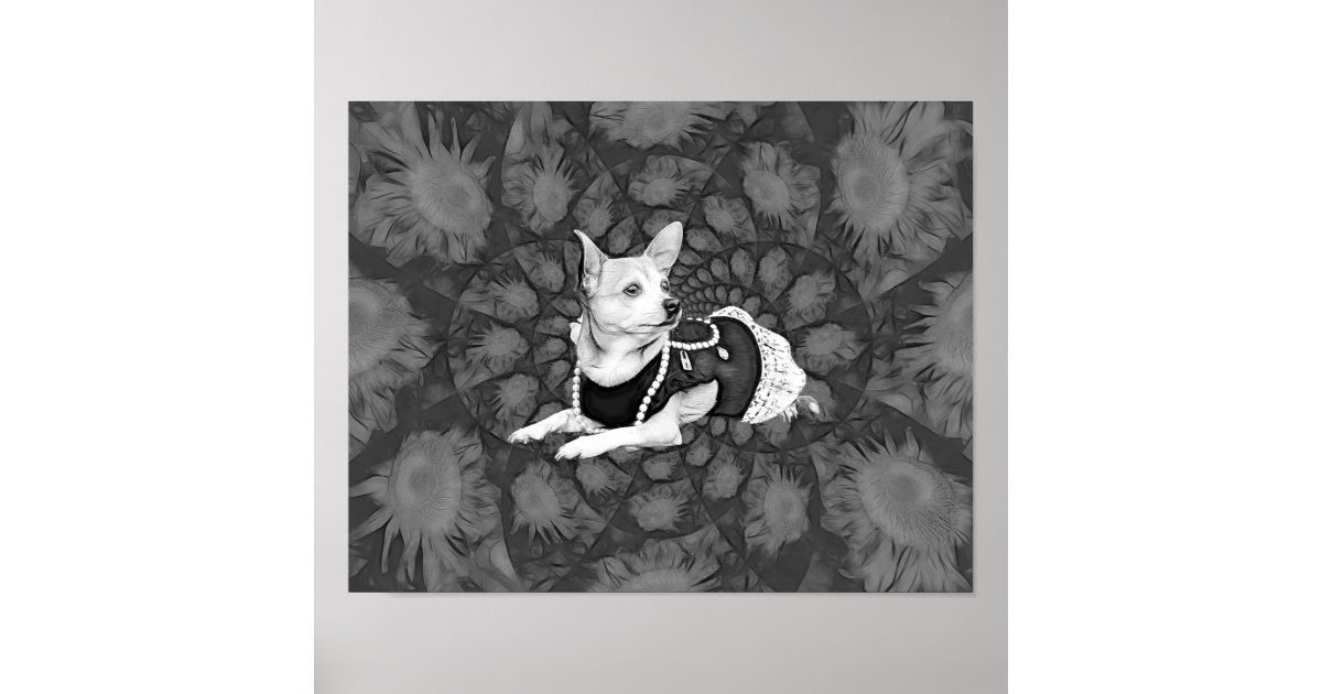 Chihuahua Floral Vintage Black And White Dog Art Poster | Zazzle
