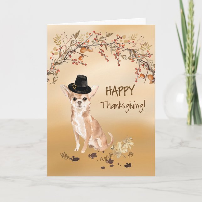 Chihuahua Funny Pilgrim Hat Thanksgiving Card (Front)