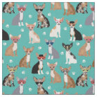 Chihuahua funny sunglasses dogs