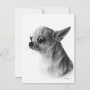 Chihuahua Hand Painted Dog Portrait Postcard