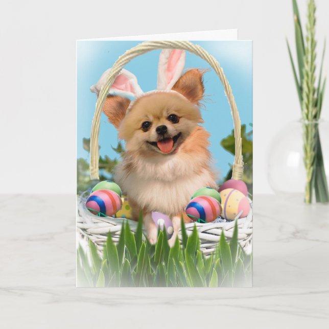Chihuahua Happy Easter Cards (Front)