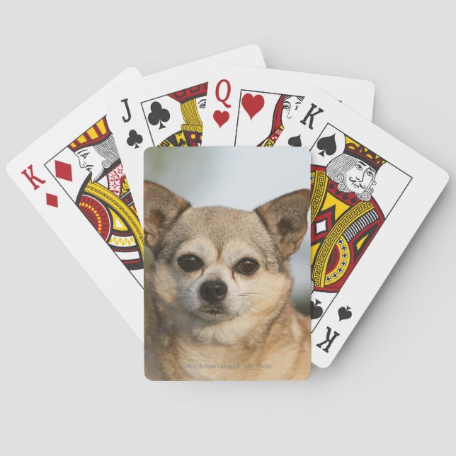 Chihuahua Headshot Poker Cards (Back)