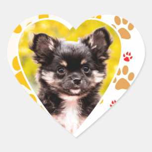 Chihuahua Heart Paw Prints Heart Sticker