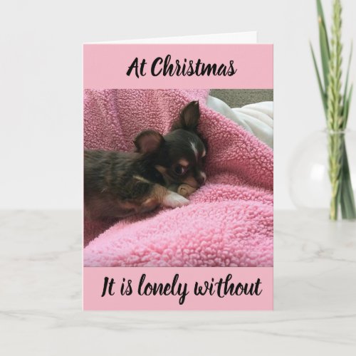 CHIHUAHUA HELPS U SAY MISS YOU AT CHRISTMAS HOLIDAY CARD