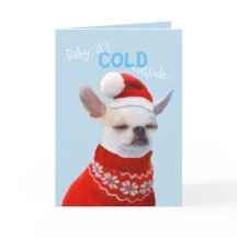 Chihuahua Holiday Card