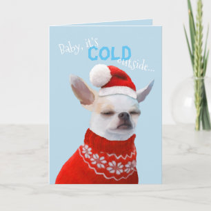 Chihuahua Holiday Card