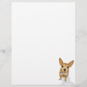 Chihuahua in a bowtie on white background (Front)