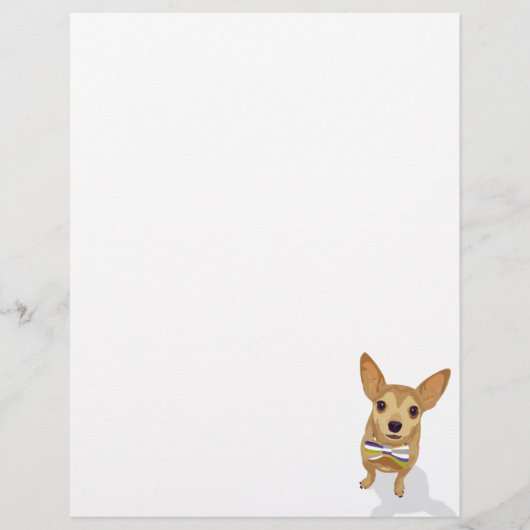 Chihuahua in a bowtie on white background (Front)