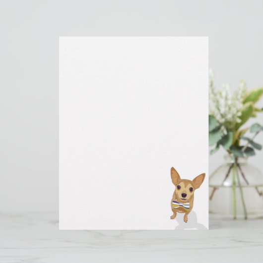 Chihuahua in a bowtie on white background (Standing Front)