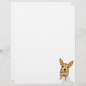 Chihuahua in a bowtie on white background (Front/Back)