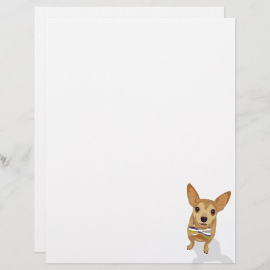 Chihuahua in a bowtie on white background (Front/Back)