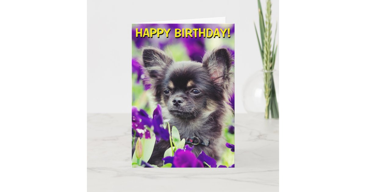 Blank Inside Black Dog Greeting Card Chihuahua Single Thank You Card Handmade Chi-chi Notecard 