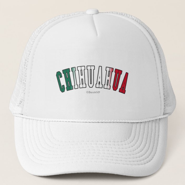 Chihuahua in Mexico National Flag Colors Trucker Hat