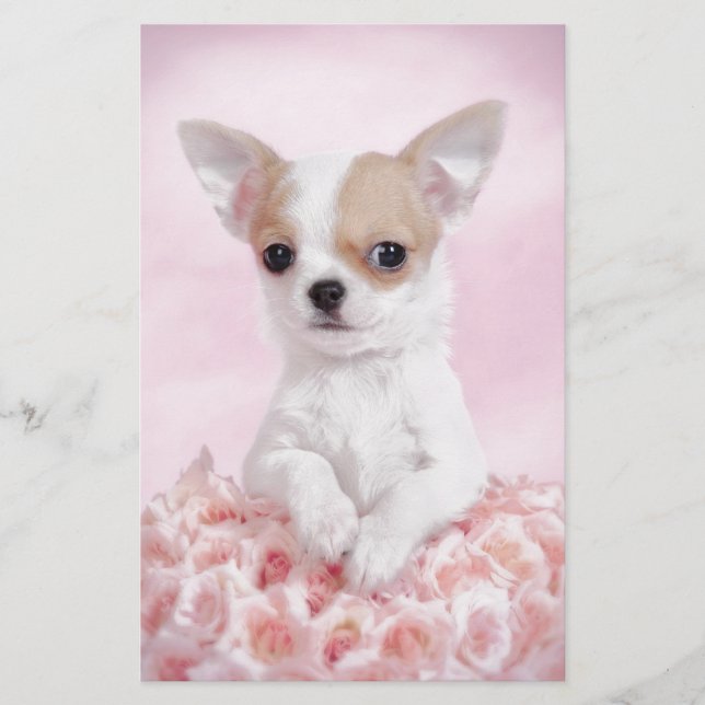 Chihuahua in pink with roses stationery (Front)