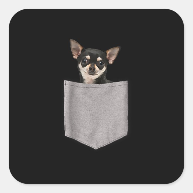 chihuahua in pocket chihuahua lovers gifts square sticker (Front)