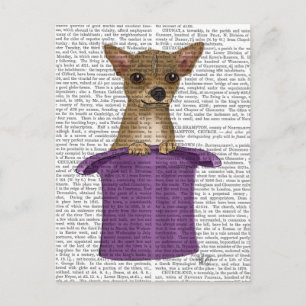 Chihuahua in Top Hat Postcard
