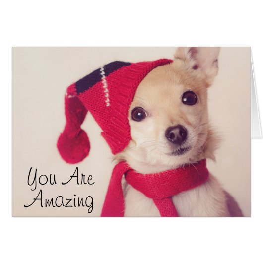 Chihuahua In Winter Cap Cards (Front Horizontal)