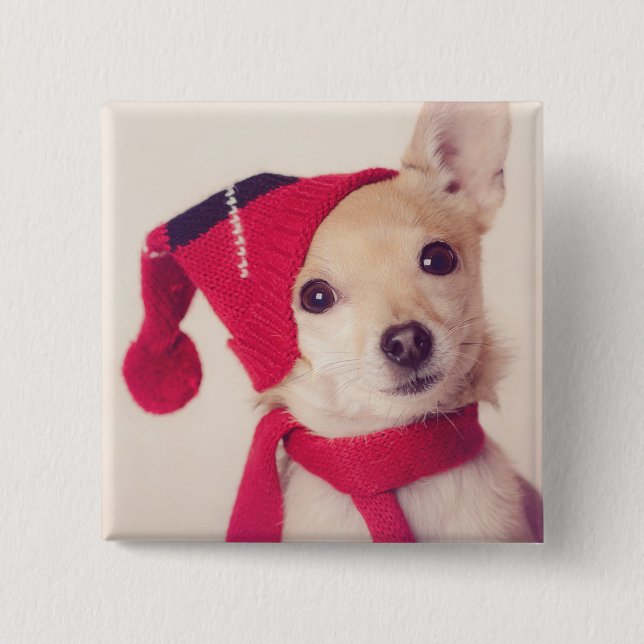 Chihuahua In Winter Cap Pinback Button (Front)
