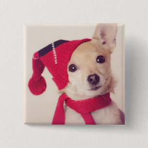 Chihuahua In Winter Cap Pinback Button