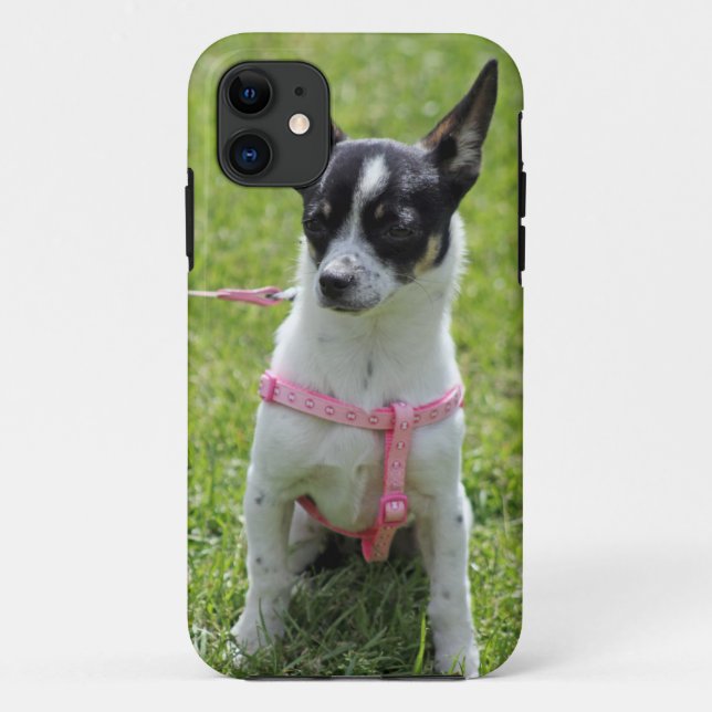 chihuahua  iphone case (Back)