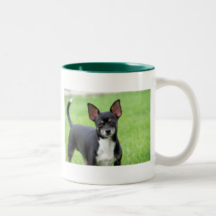 Chihuahua Isabella -13 Two-Tone Coffee Mug
