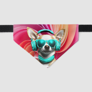 Chihuahua Jammin' Pet Bandana Collar