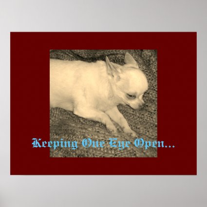 Chihuahua Keeping One Eye Open Poster