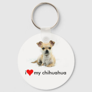 chihuahua, keychain