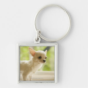 Chihuahua Keychain