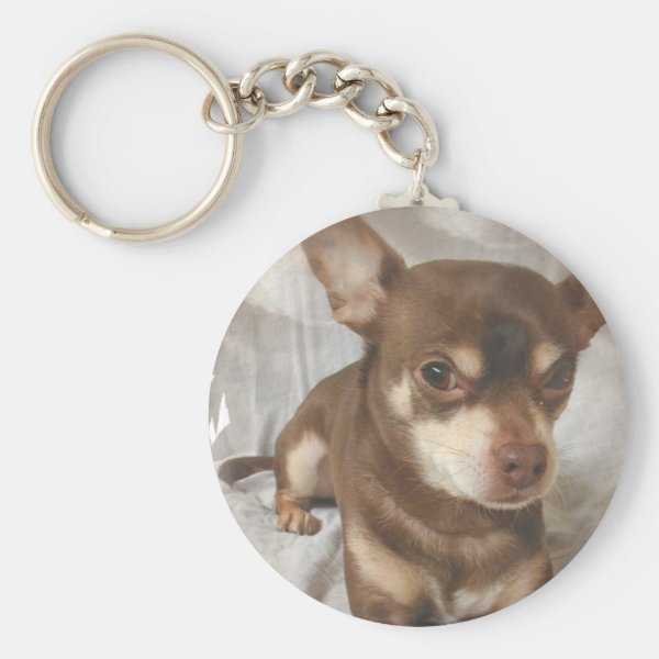 Personalized Chihuahua Gifts on Zazzle